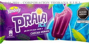 PRAIA ICE CHICHA MORADA 70ML